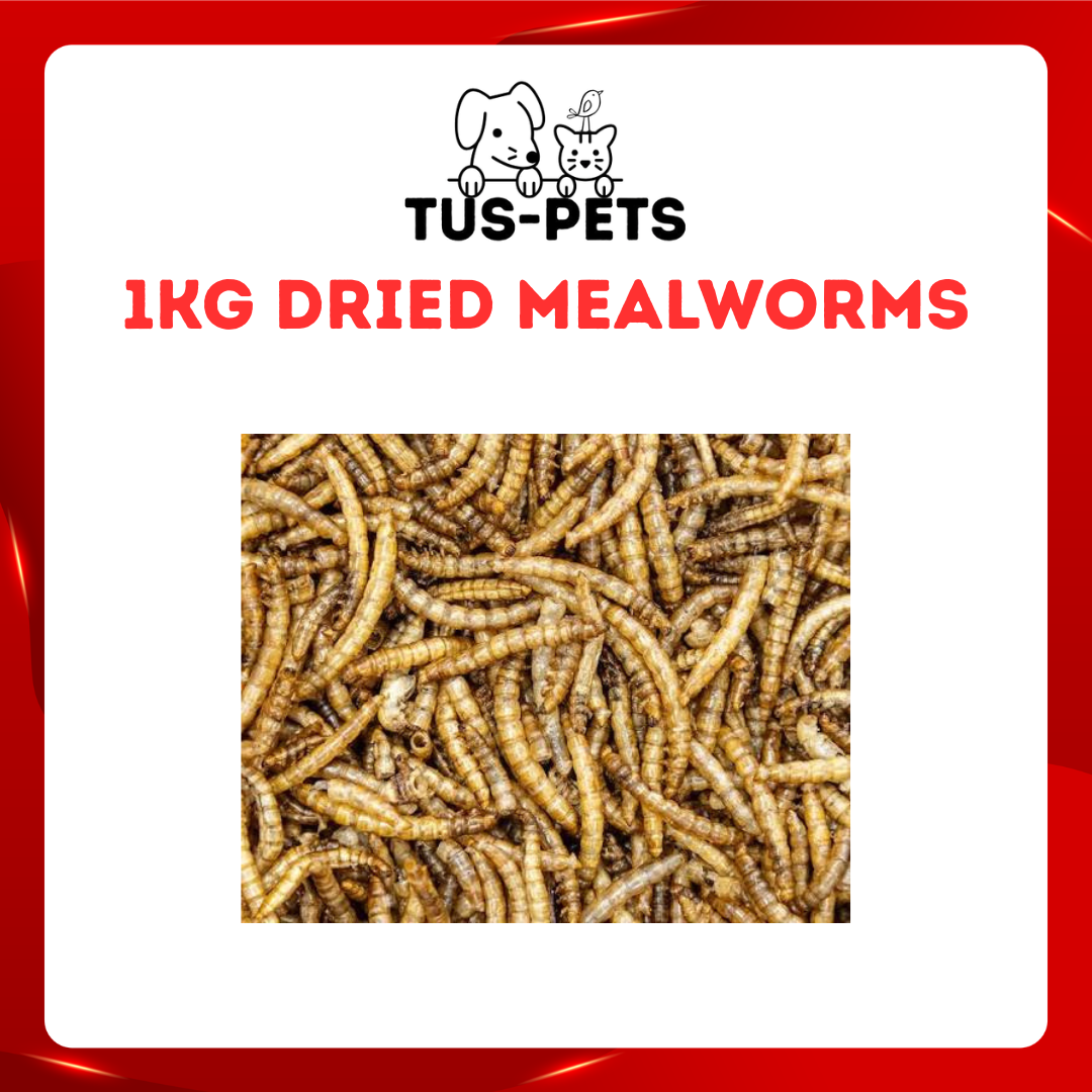 1KG Dried Mealworms