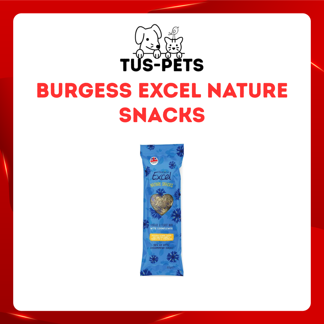 Burgess Excel Nature Snacks - Forage & Feast Bar With Cornflour