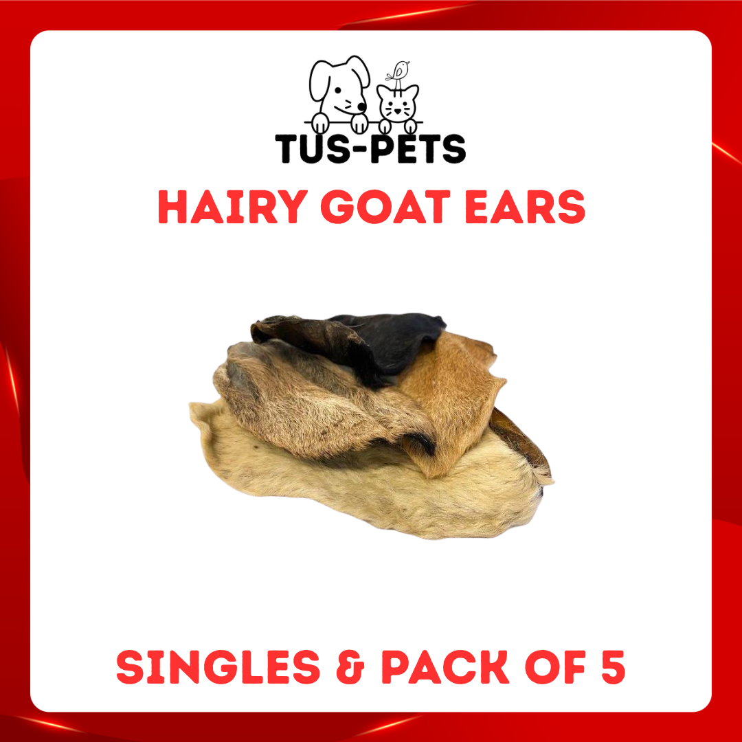 Hairy Goat Ears