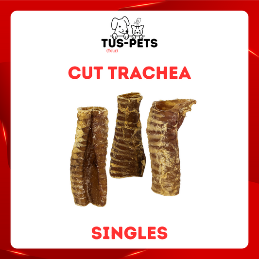 Cut Trachea (Approx 15cm)