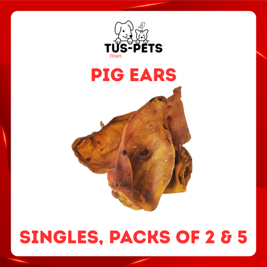 Large Pig Ears