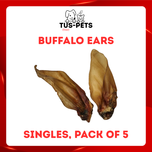 Large Buffalo Ears