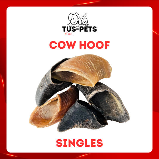 Cow Hoof