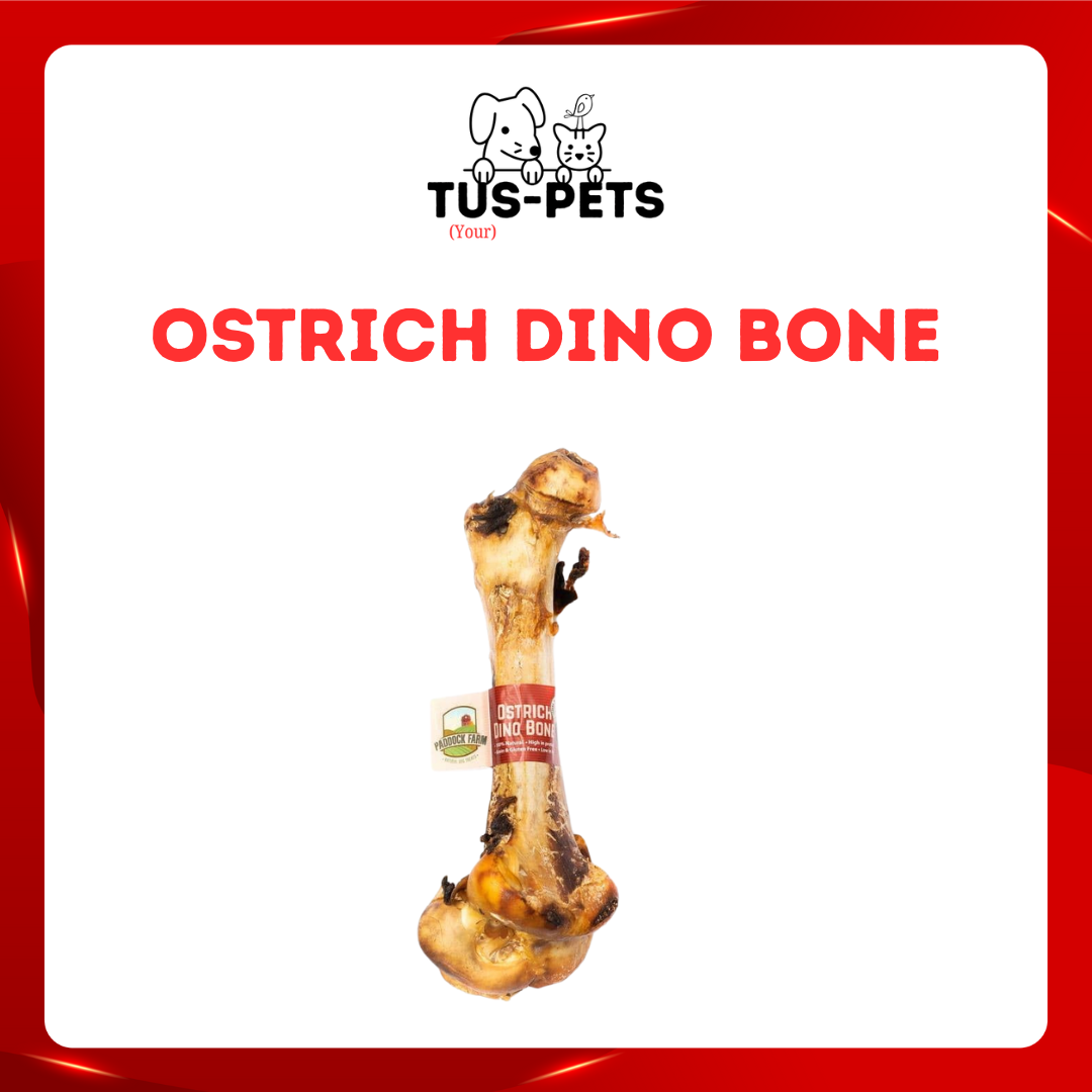 Ostrich Dino Bone