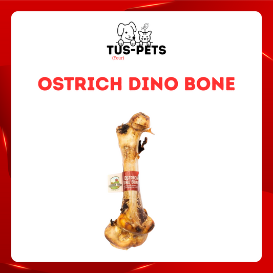 Ostrich Dino Bone