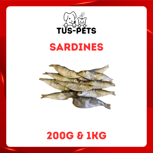Sardines