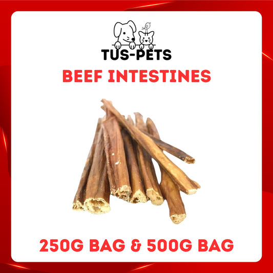 Beef Intestine